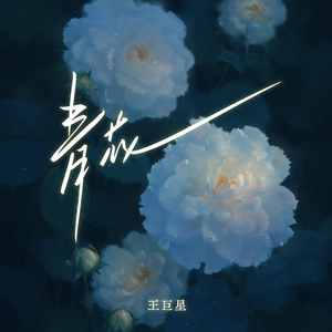 亚洲中文字幕一二三四区
