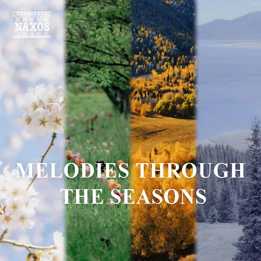 亚洲中文字幕一二三四区
